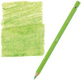 Pastelka akvarelov A.Drer/171 svetlozelen