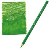 Pastelka akvarelov A.Drer/266 permanentn zele